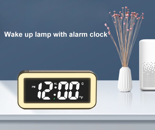 RT3947 - Click Image to Close